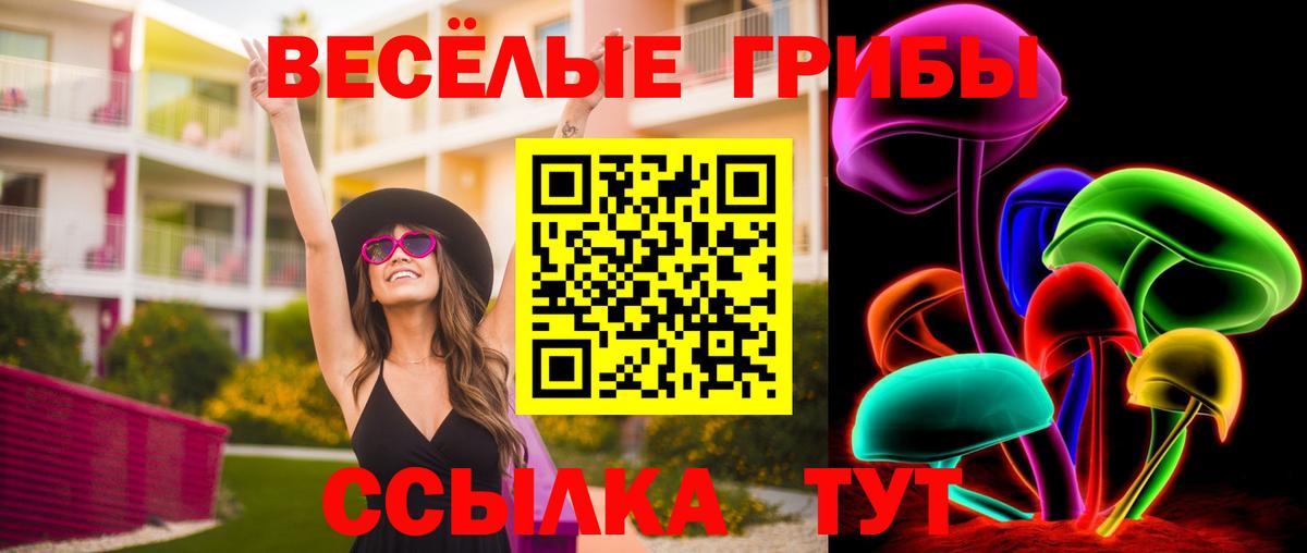 Галлюциногенные грибы прущие грибы  Вход с VPN  Вятские Поляны 